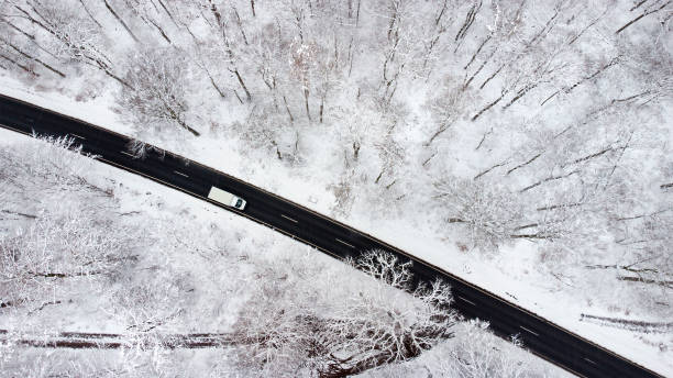 Free Stock Photo of Aerial View of Snow Covered Trees Along a Road ...