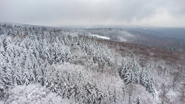 istock Snow-covered forest. Taunus mountains- aerial view 1294929407