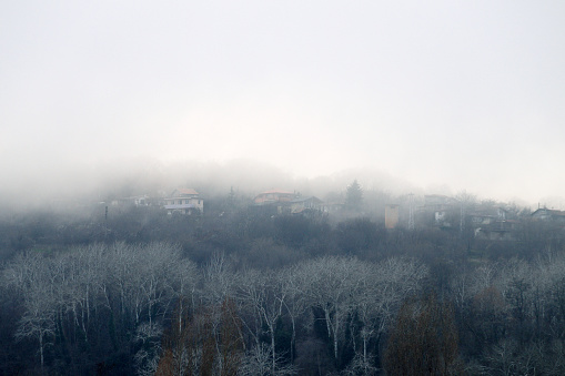 fog over forest and village in mountains.