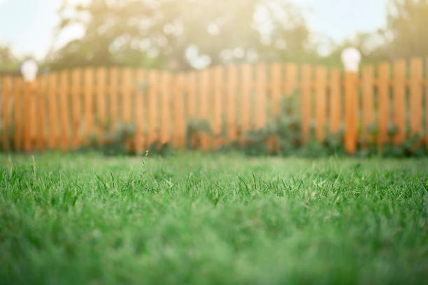 Green grass and fence Background green grass in the foreground wooden fence low angle view stock pictures, royalty-free photos & images