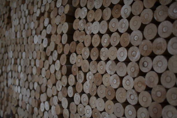 istock Desktop background. Round logs are placed in a woodpile 1294931473