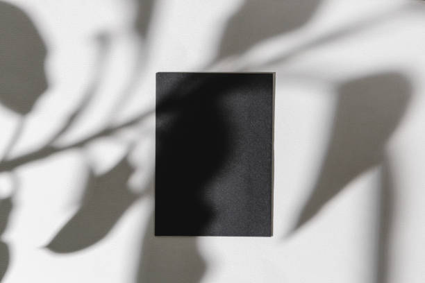 istock Foliage shadow on paper background with business card 1294931594