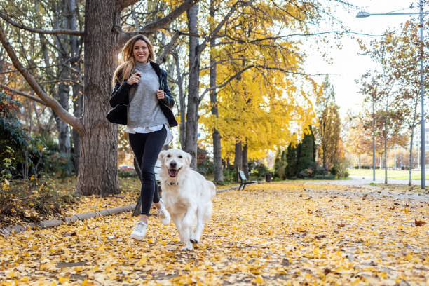 hermosa joven corriendo con su encantador perro golden retriever en el parque en otoño. - golden retriever dog autumn leaf fotografías e imágenes de stock