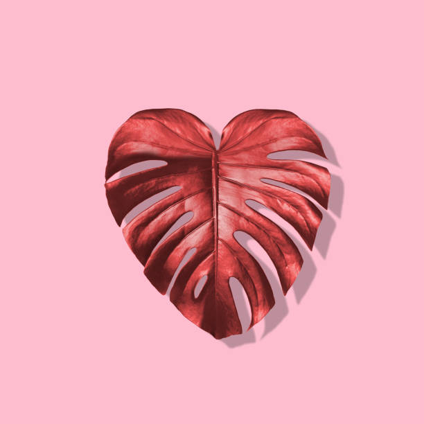 istock Valentine day simple trendy greeting card with monstera leaf 1294932490
