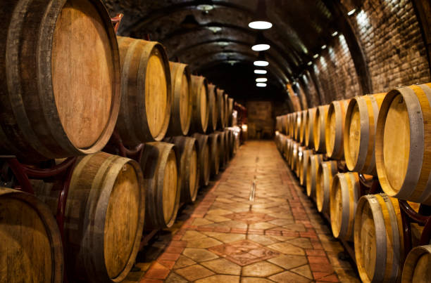 barils de vin dans les caveaux à vin dans l’ordre - distillerie photos et images de collection