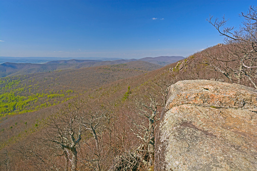View from Tibbet Knob, Allegheny Mountains, West Virginia