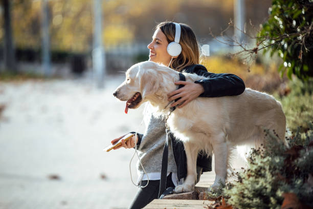 lächelnde junge frau, die musik mit dem smartphone hört, während sie im herbst mit ihrem schönen goldenen retriever-hund im park sitzt. - golden retriever dog autumn leaf stock-fotos und bilder