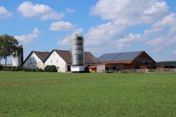 istock Summer Day in Lower Bavaria 1294933499