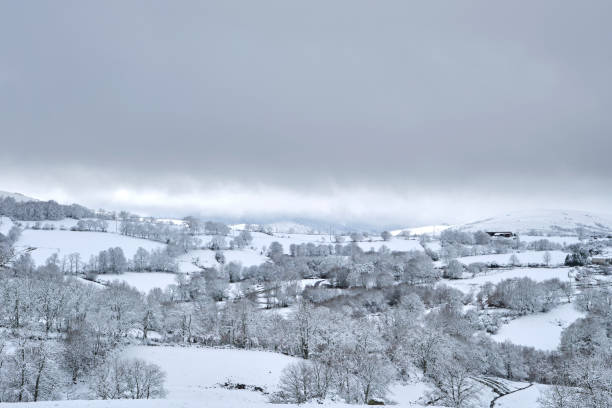 istock White snowy landscape in the countryside by winter 1294939921