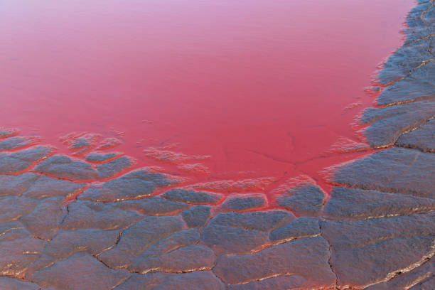 Close-up of red water polluted with iron ore waste