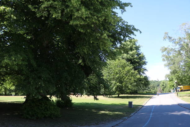 istock Park Slottsskogen green lung in Gothenburg, Sweden 1294941408