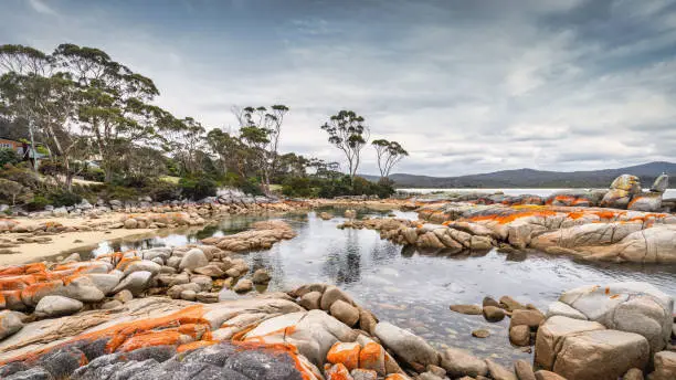 Bay of Fires Tasmania Panorama. The Bay of Fires with it`s famous rust-red colored boulder rocks on the east coast of Tasmania towards the Tasman Sea under summer skyscape. Bay of Fires, Tasmania, Australia