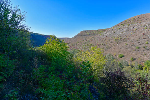 View of the stunning landscape at the Serra Catarinense in Alfredo Wagner, Santa Catarina state - Brazil