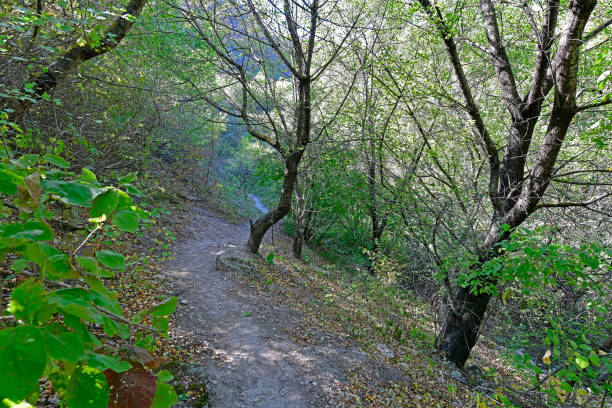 Tipovo Monastery The nature of these places delights with its beauty and uniqueness. Tourists who come here can visit the impressive gorge of the Tsipovo landscape reserve and admire many beautiful waterfalls there. The sight of such beauty is breathtaking! Having visited this unforgettable monastery once, there is always a desire to return to these places again.