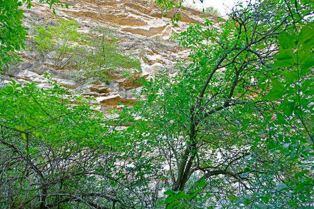 Tipovo Monastery The nature of these places delights with its beauty and uniqueness. Tourists who come here can visit the impressive gorge of the Tsipovo landscape reserve and admire many beautiful waterfalls there. The sight of such beauty is breathtaking! Having visited this unforgettable monastery once, there is always a desire to return to these places again.