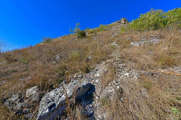Tipovo Monastery The nature of these places delights with its beauty and uniqueness. Tourists who come here can visit the impressive gorge of the Tsipovo landscape reserve and admire many beautiful waterfalls there. The sight of such beauty is breathtaking! Having visited this unforgettable monastery once, there is always a desire to return to these places again.
