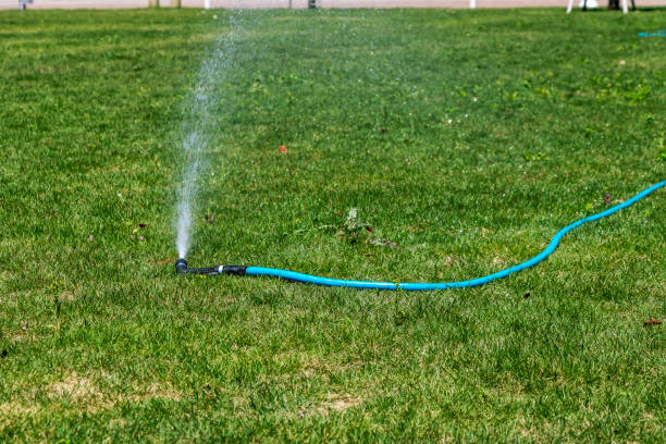 istock Watering the green grass with a hose 1294951695