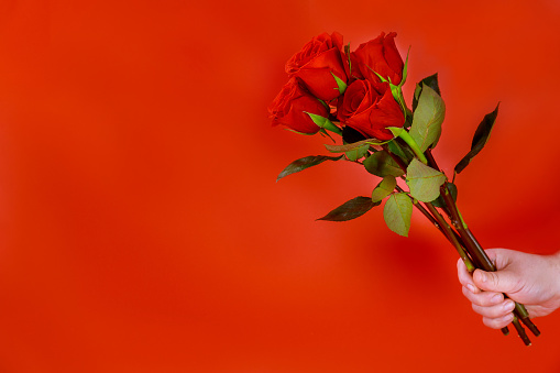 Man holding a bouquet of beautiful red roses on red background. Valentines Day or Mothers Day concept.