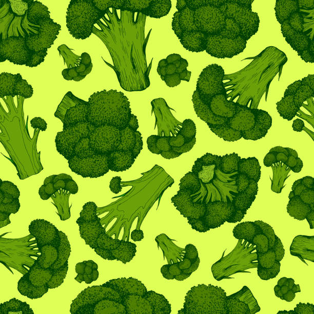 ilustraciones, imágenes clip art, dibujos animados e iconos de stock de jugoso patrón fresco de verduras vegetales, aislado en verde claro - agriculture backgrounds cabbage close up