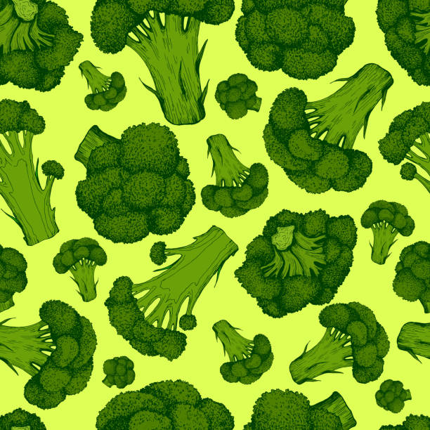 ilustrações de stock, clip art, desenhos animados e ícones de juicy broccoli  fresh vegetable seamless pattern, isolated on light green - agriculture backgrounds cabbage close up