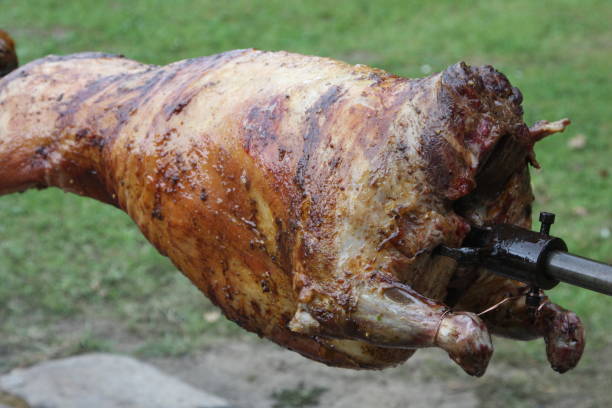 lammbraten auf dem feuer - pig roasted spit roasted domestic pig stock-fotos und bilder