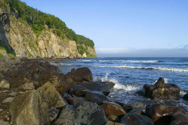 istock Summer day on the wild sea coast. 1294956923