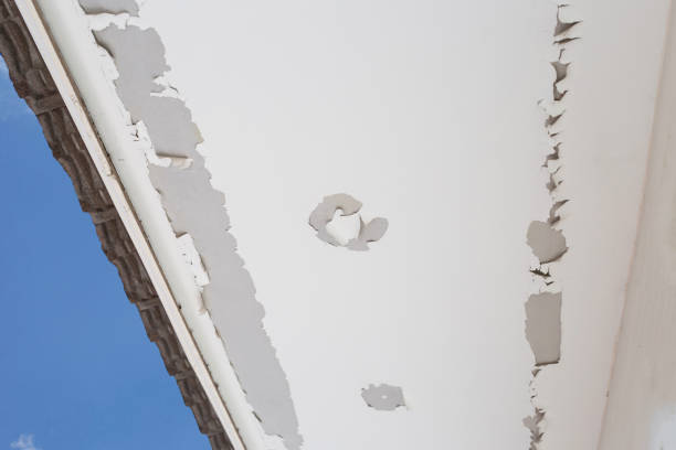 istock White color paint peeling off on ceiling house. Under the roof 1294958377