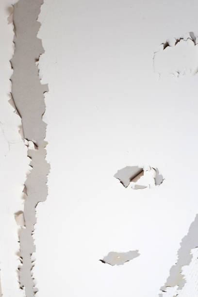 istock White color paint peeling off on ceiling house. Under the roof 1294958521