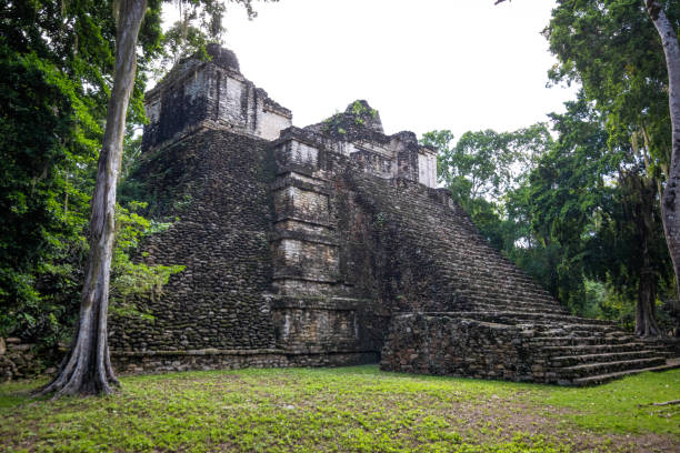istock Ancient pyramids at Dzibanche ancient Maya archaeological site, Quintana Roo, Yucatan Peninsula, Mexico. 1294961311