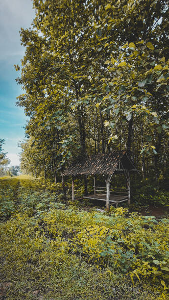 istock Hidden little hut of heaven 1294963245