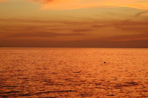 istock Sunset in Key Biscayne Florida, USA 1294964828