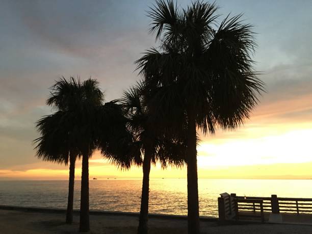istock Sunset in Key Biscayne Florida, USA 1294964835