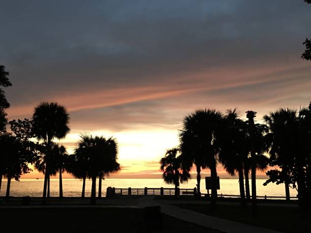 istock Sunset in Key Biscayne Florida, USA 1294964836