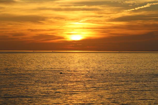 istock Sunset in Key Biscayne Florida, USA 1294964845