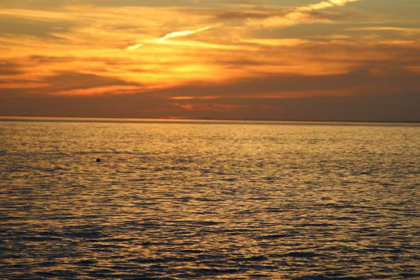 istock Sunset in Key Biscayne Florida, USA 1294964849