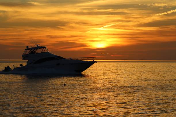 istock Sunset in Key Biscayne Florida, USA 1294964851