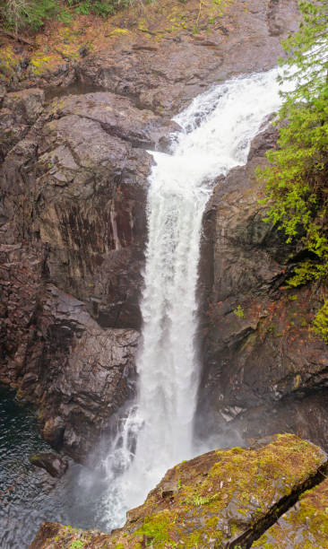 istock Vertical Panorama of Elk Falls 1294969576