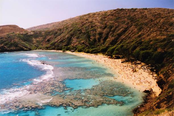 bahía de hanauma, oahu en hawái - hanauma bay hawaii islands oahu bay fotografías e imágenes de stock