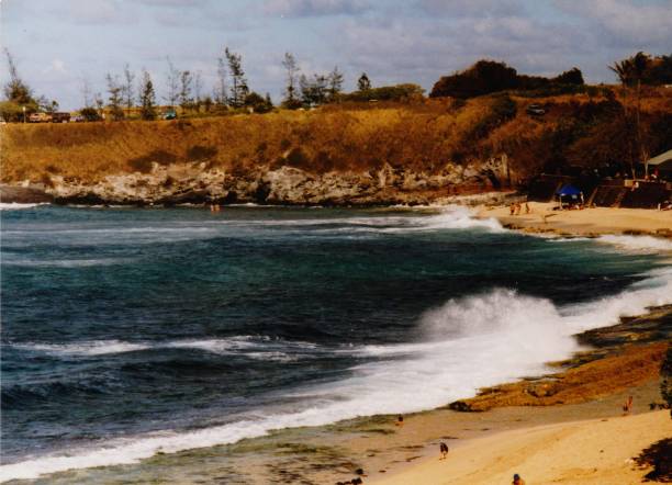istock Maui Beach in Hawaii, USA 1294970325