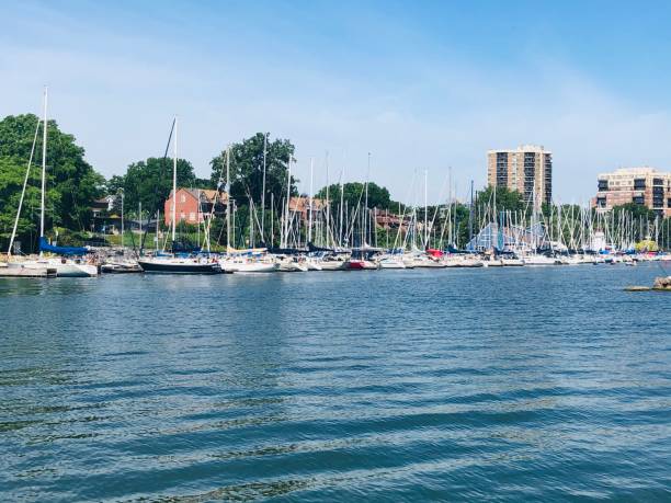 istock Boats on a sunny day 1294970363