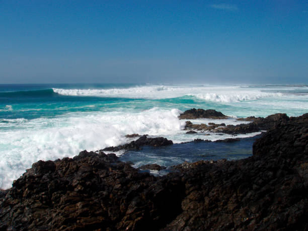 istock coastal ocean environment in the summer 1294980823