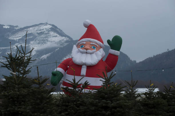 istock Santa Claus or Father Christmas 1294981602