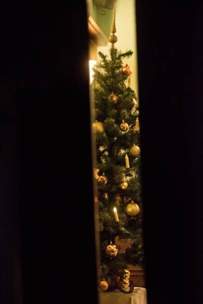 istock christmas tree and holiday season 1294982734