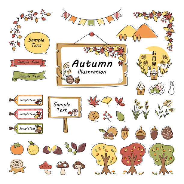 ilustraciones, imágenes clip art, dibujos animados e iconos de stock de una colección de ilustraciones y marcos de otoño - ginkgo tree ginkgo tree japan