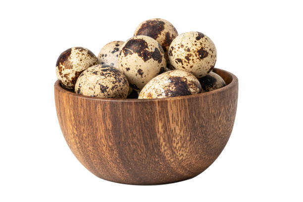 Quail eggs in wooden bowl isolated on white background with clipping path.