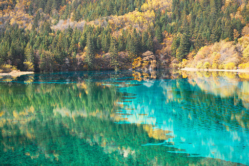 Amazing sunny landscape with azure river among mountains and woods in fall, Jiuzhaigou nature reserve (Jiuzhai Valley National Park), China. Beautiful view of crystal clear water and autumn forest.