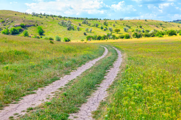 istock Country road and green meadow 1294995197