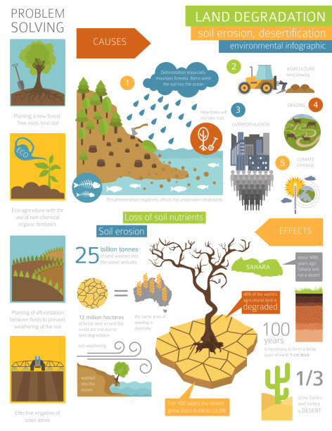 globale umweltprobleme. landdegradation infografik. bodenerosion, wüstenbildung - erosionskontrolle stock-grafiken, -clipart, -cartoons und -symbole