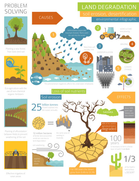 ilustraciones, imágenes clip art, dibujos animados e iconos de stock de problemas ambientales globales. infografía de degradación de la tierra. erosión del suelo, desertificación - lucha contra la erosión