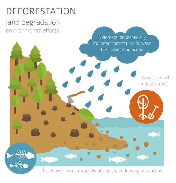 Ilustración de Problemas Ambientales Globales Infografía De Degradación De  La Tierra Erosión Del Suelo Desertificación y más Vectores Libres de  Derechos de Desertificación - iStock